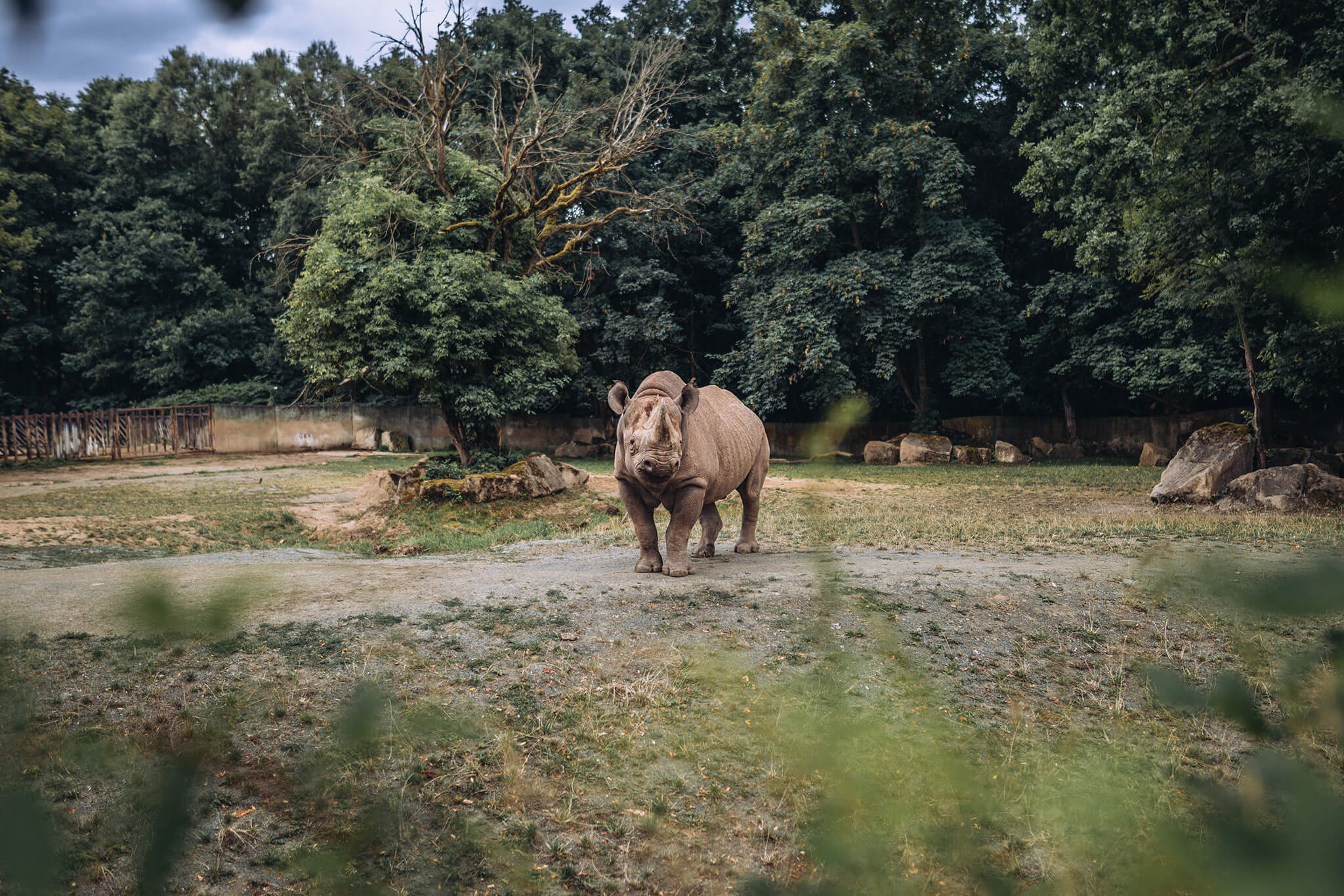 Safari park Dvůr Králové_02