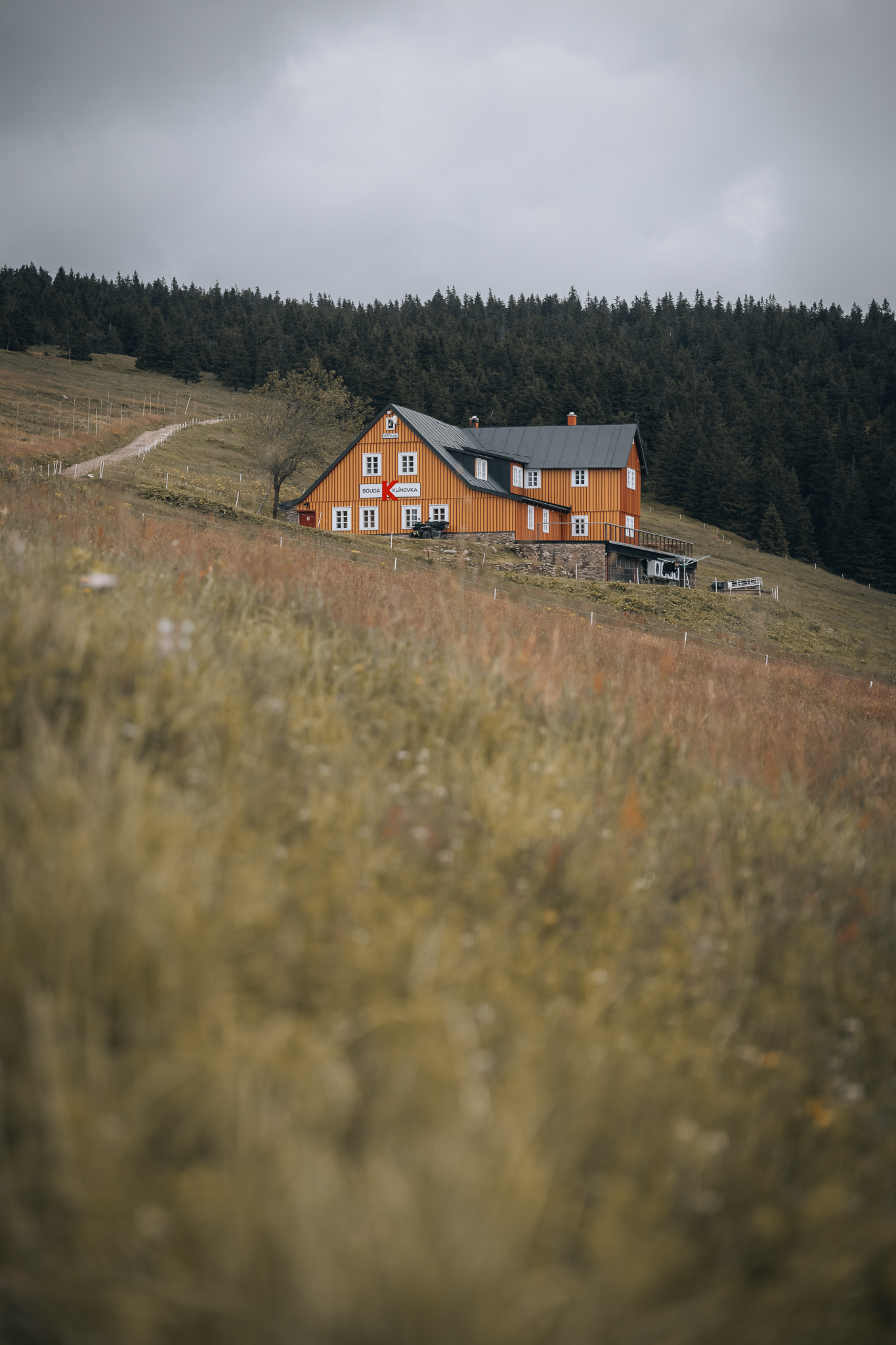 Klinovka_01
