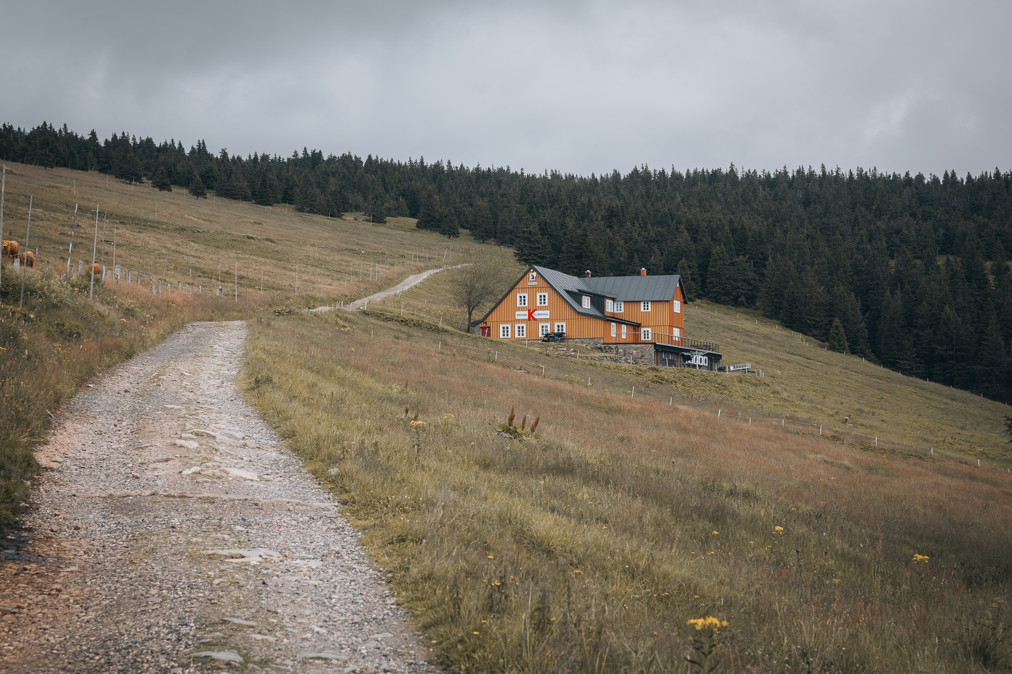 Klinovka_02