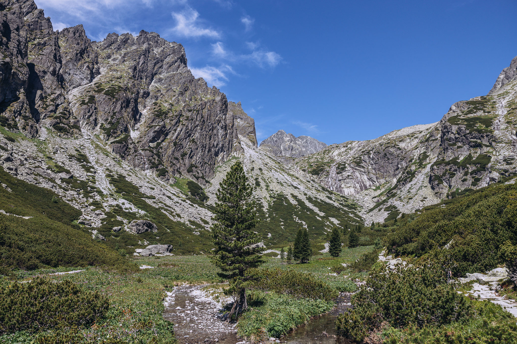 Mala studena dolina