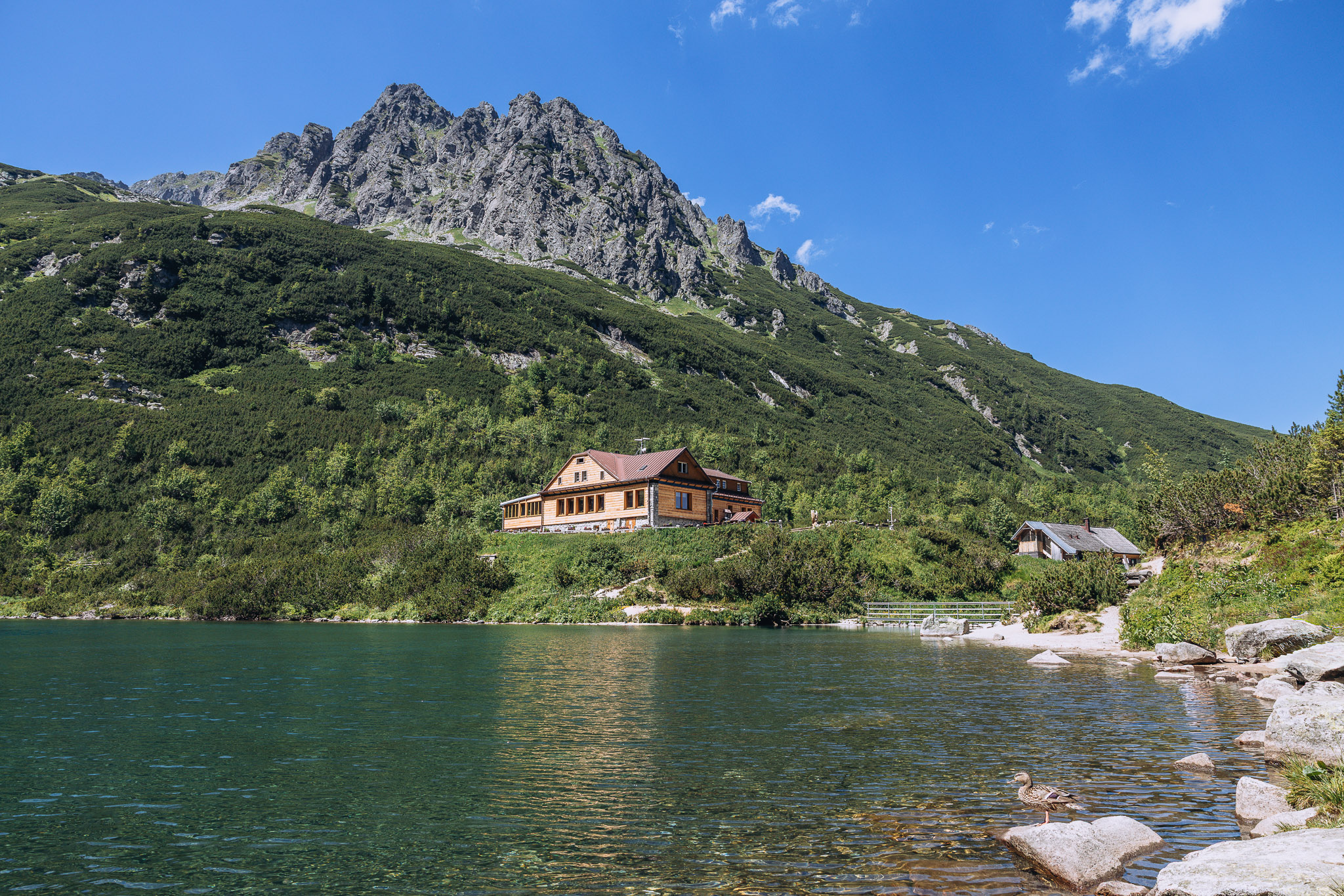 Zelene pleso